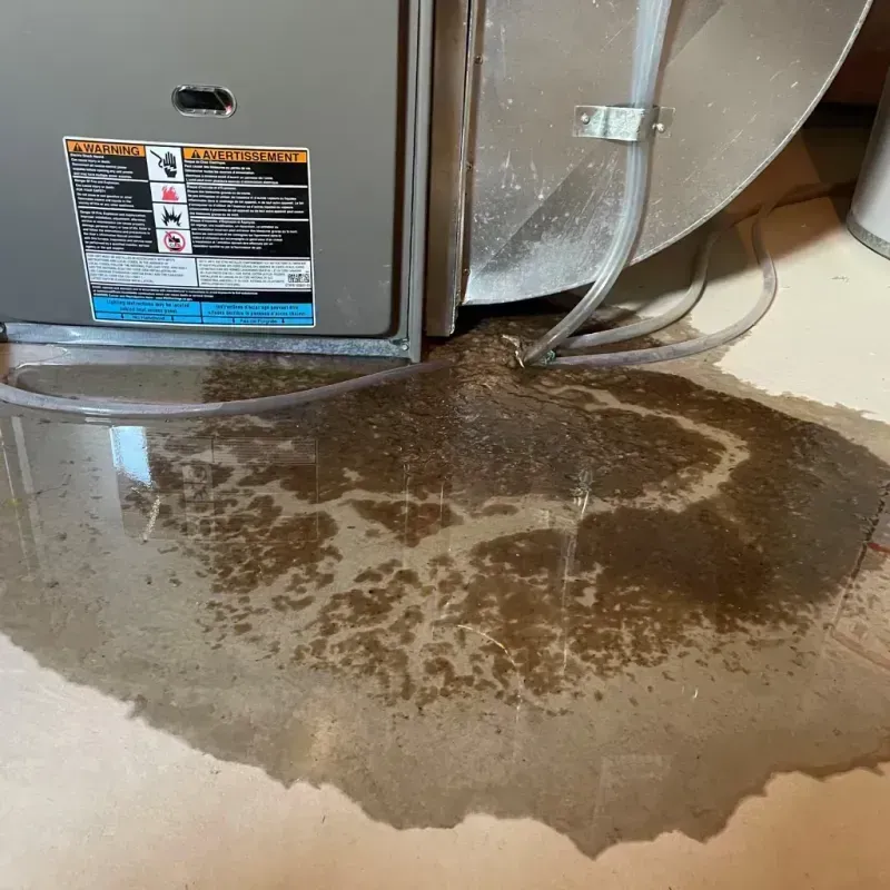 Appliance Leak Cleanup in Los Angeles, CA